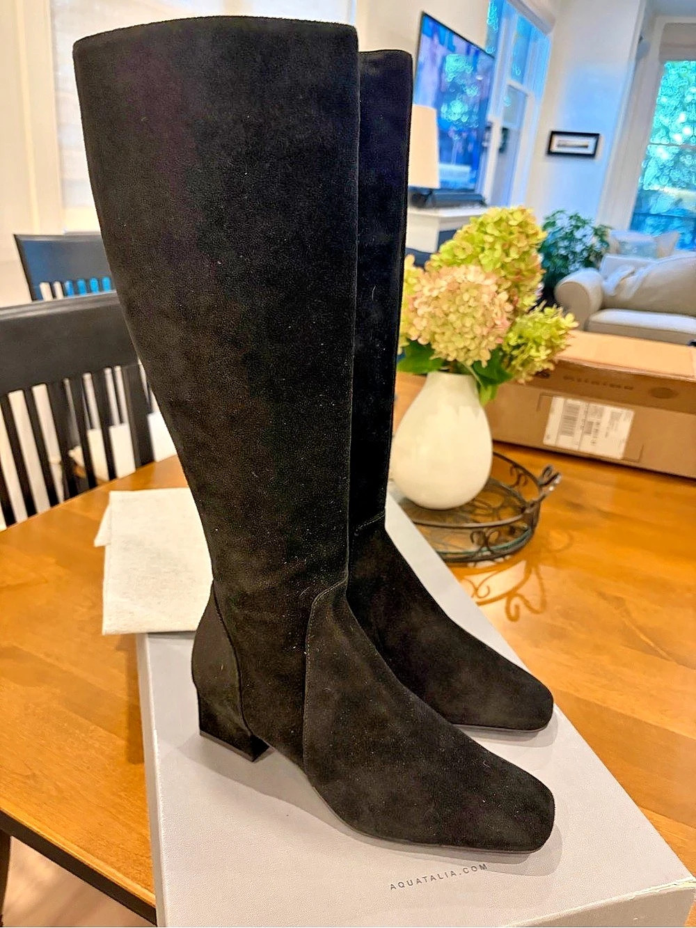 Aquatalia Serafina Knee High Boot Knee High Black Suede NWT